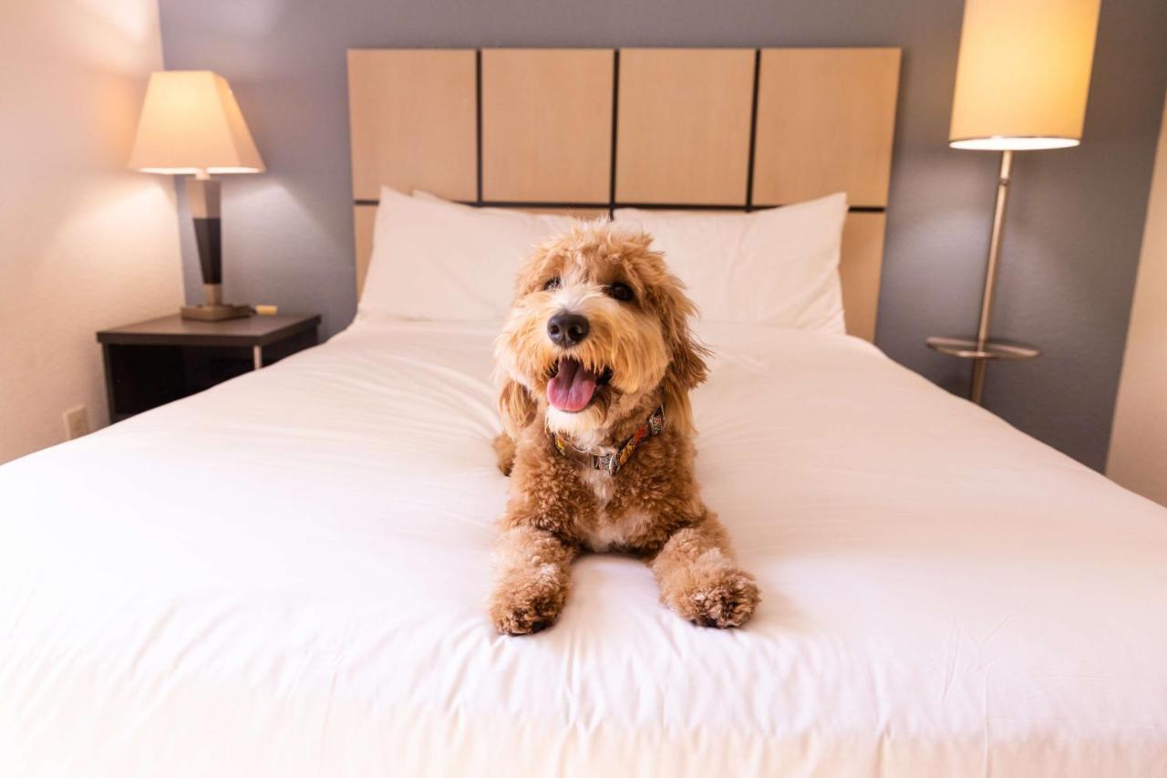 Sonesta Simply Suites Huntsville Research Park Екстериор снимка